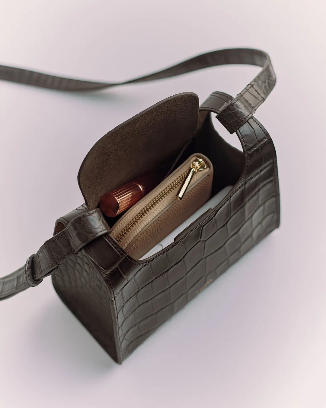 Mini Double Loop Bag (Croco)