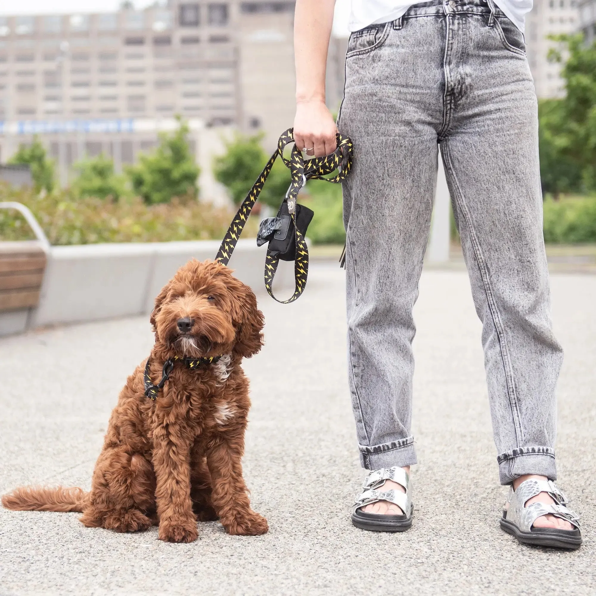 Poop Bag Dispenser | Black